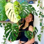 the_green_journey_