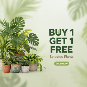 buy 1 get 1 free. selected plants. make it 1:1 ratio.